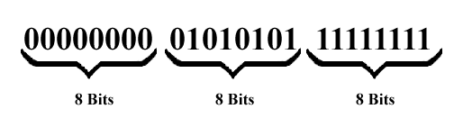 An example of an 8-bit byte.