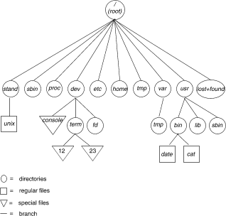 A computer-tree showing all the different branches and the root (represented by /) is the head.