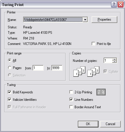 Turing print dialogue box