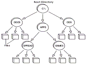 Root Directory