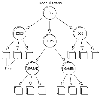 This is a picture of the root directory 
