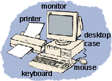 Examples of imput devices; keyboard, mouse, etc.